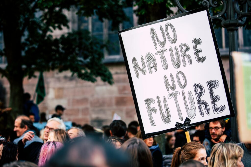 manifestazione per il clima