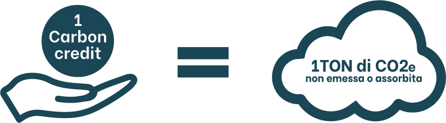 1 Credito di carbonio equivale a 1 tonnellata di CO2e rimossa o non emessa in atmosfera